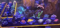 IMG_8357.jpeg