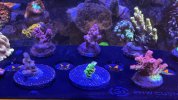 IMG_8349.jpeg
