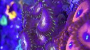 IMG_3058.jpeg