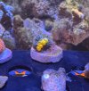 IMG_8342.jpeg