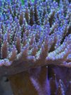 IMG_7317.jpeg