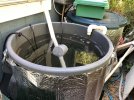 IMG_9586.jpeg