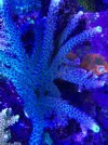 IMG_2778.JPG