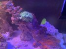 IMG_3808.jpeg