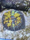 IMG_3186.jpeg