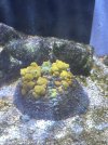 IMG_3184.jpeg
