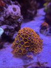 IMG_7784.jpeg