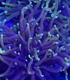 IMG_0347.jpeg