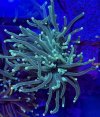 IMG_0332.jpeg