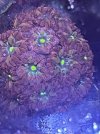 IMG_4486.jpeg