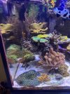 IMG_6189.jpeg