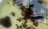 IMG_7324.jpeg