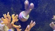 IMG_7295.jpeg