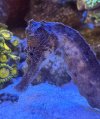 IMG_8508.jpeg