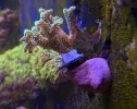 IMG_7468.jpeg