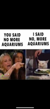 IMG_3999.png