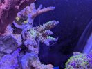 PXL_20250605_223321299.jpg