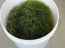 IMG_1187.jpeg