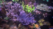 IMG_4007.jpeg