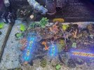 20250608_195311.jpg