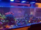 IMG_4229.jpg