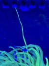 IMG_0296.jpeg