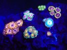 IMG_1750.jpeg