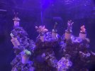 IMG_5805.jpeg