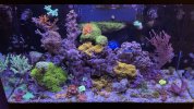 IMG_7977.jpeg