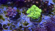 IMG_7947.jpeg