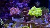 IMG_7935.jpeg