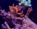 IMG_7929.jpeg
