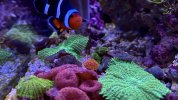 IMG_7925.jpeg