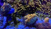 IMG_7939.jpeg