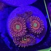 IMG_5863.jpeg