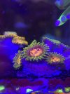 IMG_5862.jpeg