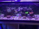 IMG_0199.jpeg