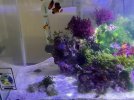 IMG_3053.jpeg