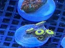 IMG_0735.jpeg