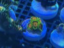 IMG_0734.jpeg