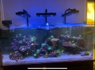IMG_2930.jpeg
