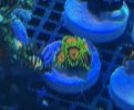 IMG_5902.jpeg