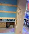 IMG_1517.jpeg