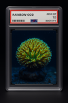 IMG_0431.png