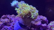 IMG_8115.jpeg