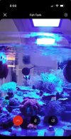 IMG_0441.jpeg