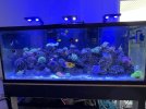 IMG_7413.jpeg