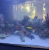 IMG_1606.jpeg
