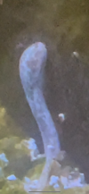 IMG_7597.png