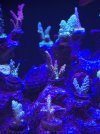 20250701_234443.jpg